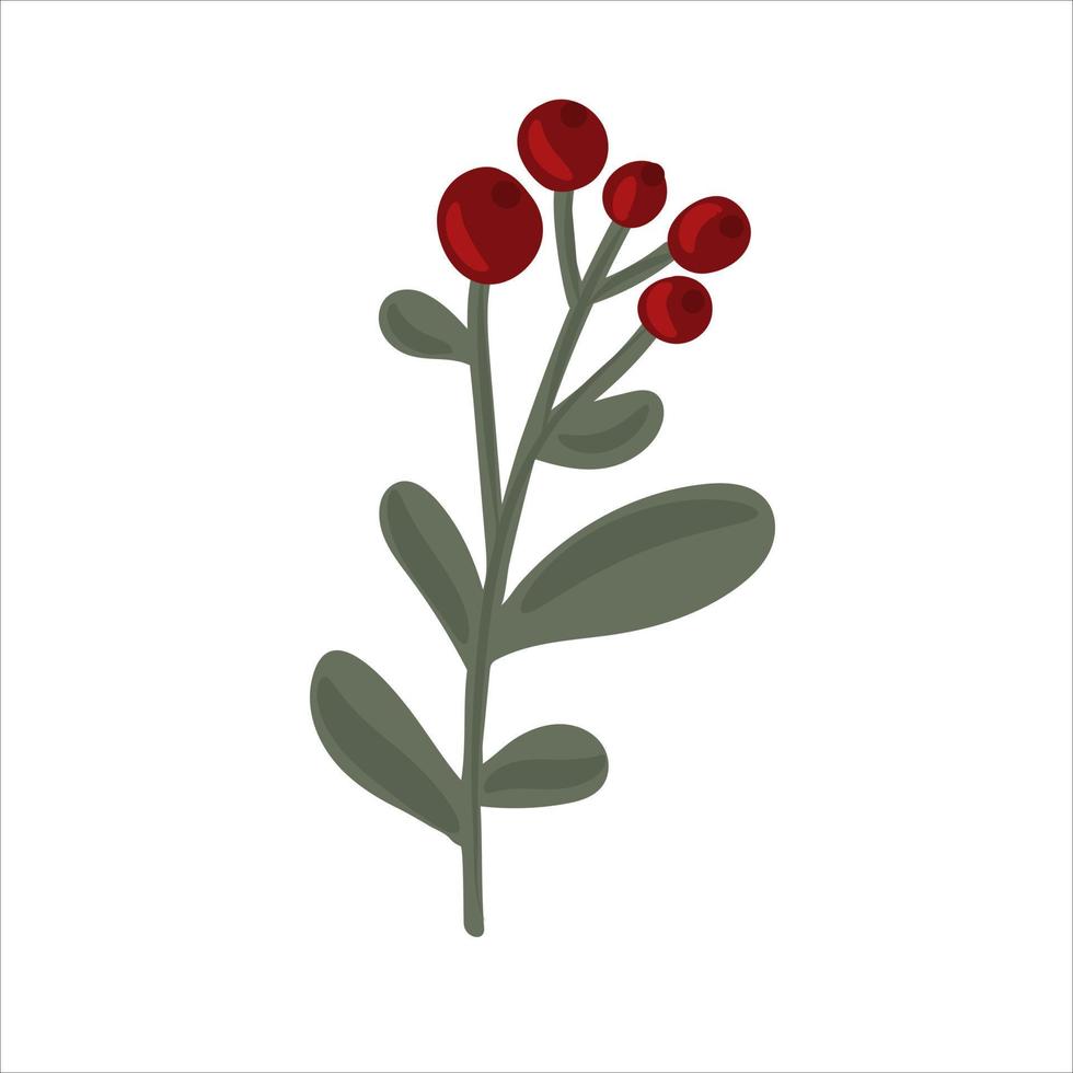Winter branch with leaves and berries vector