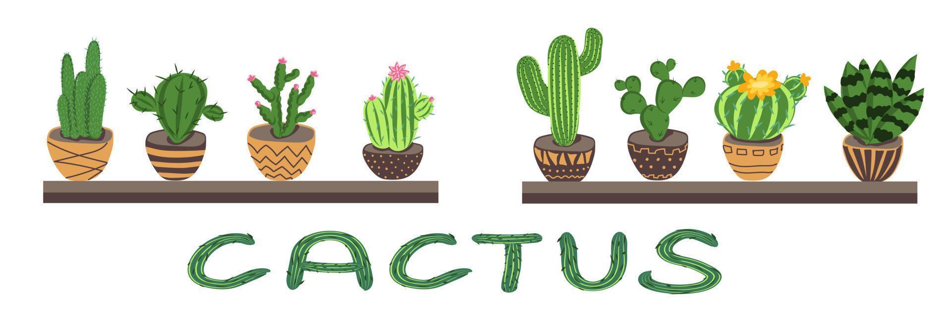 Vector set of colorful cactus plants in  pots.