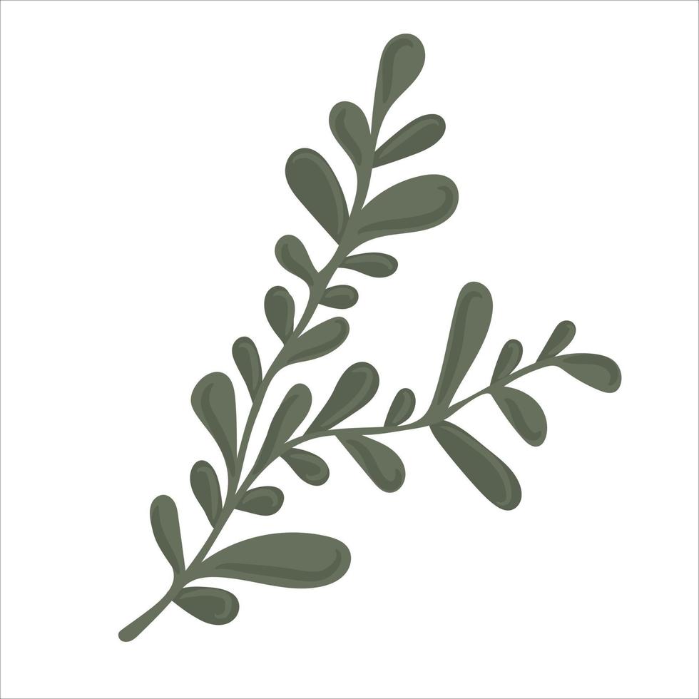 Hand drawn branch with leaves isolated on white background vector