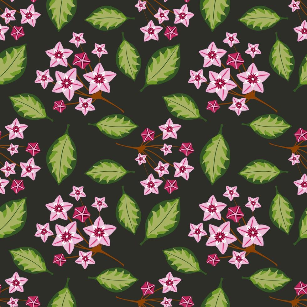Seamless pattern with hoya home flower vector