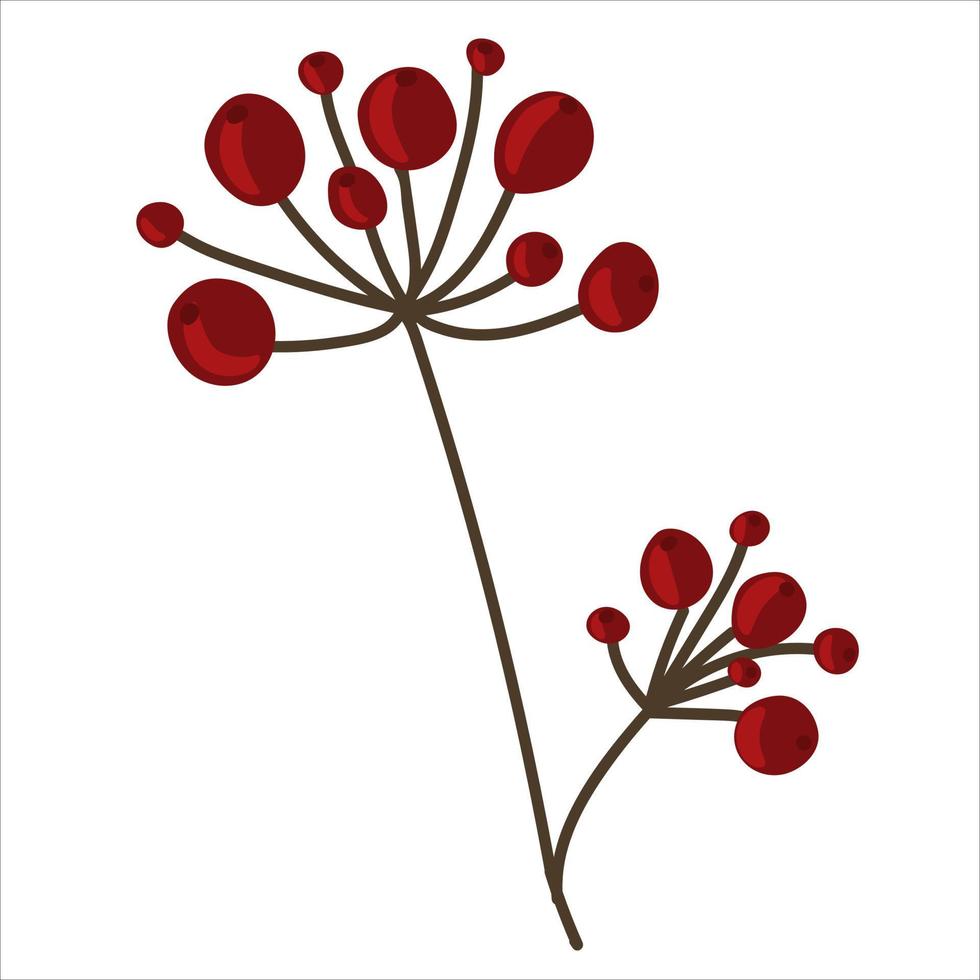 Winter branch with berries vector