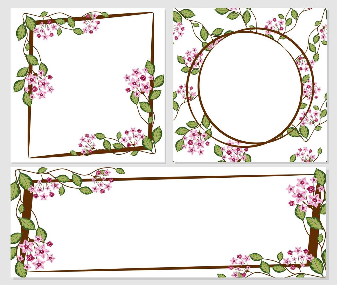 Set of botanical template for greeting cards or invitations vector