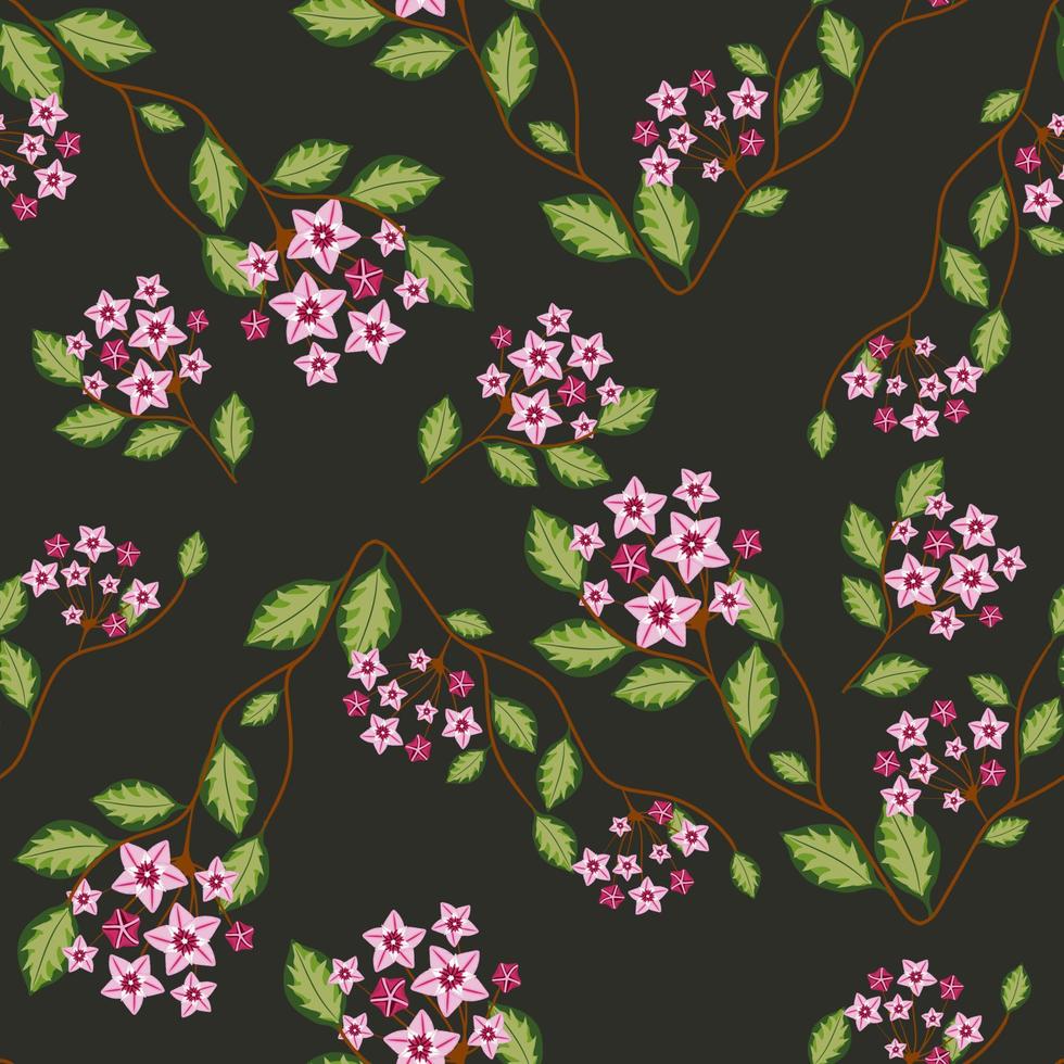 Seamless pattern with hoya home flower vector