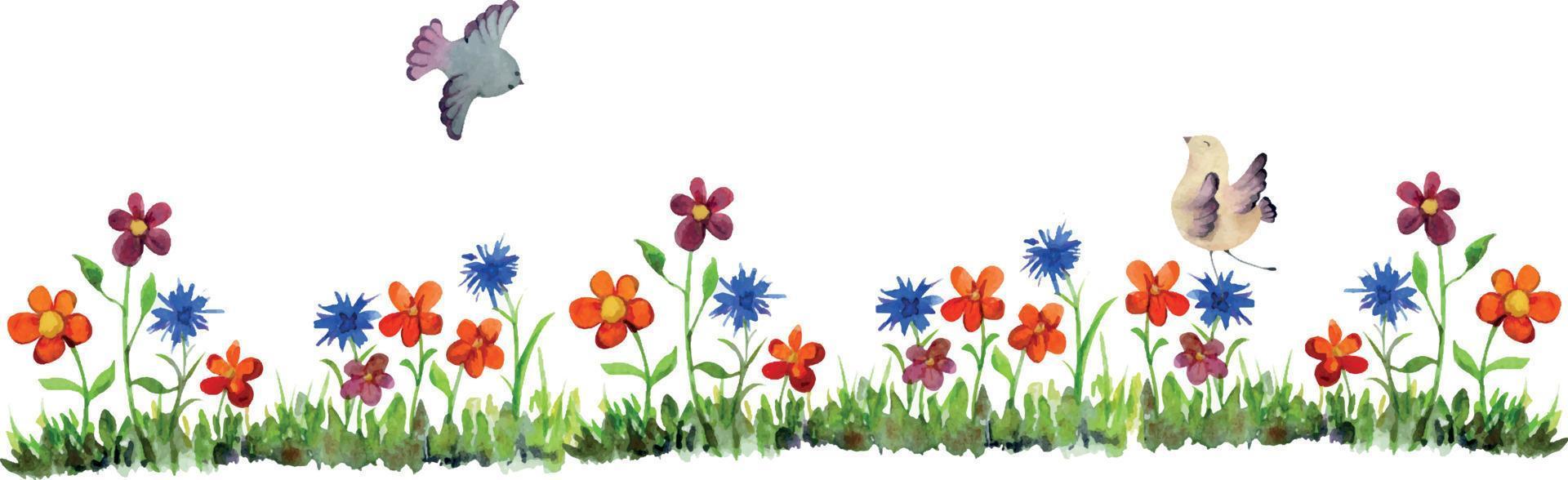 Watercolor hand drawn countryside grass banner with flowers and birds, isolated on white background. Design template for cards, gift bags, invitations, textile, print, wallpaper, for children vector