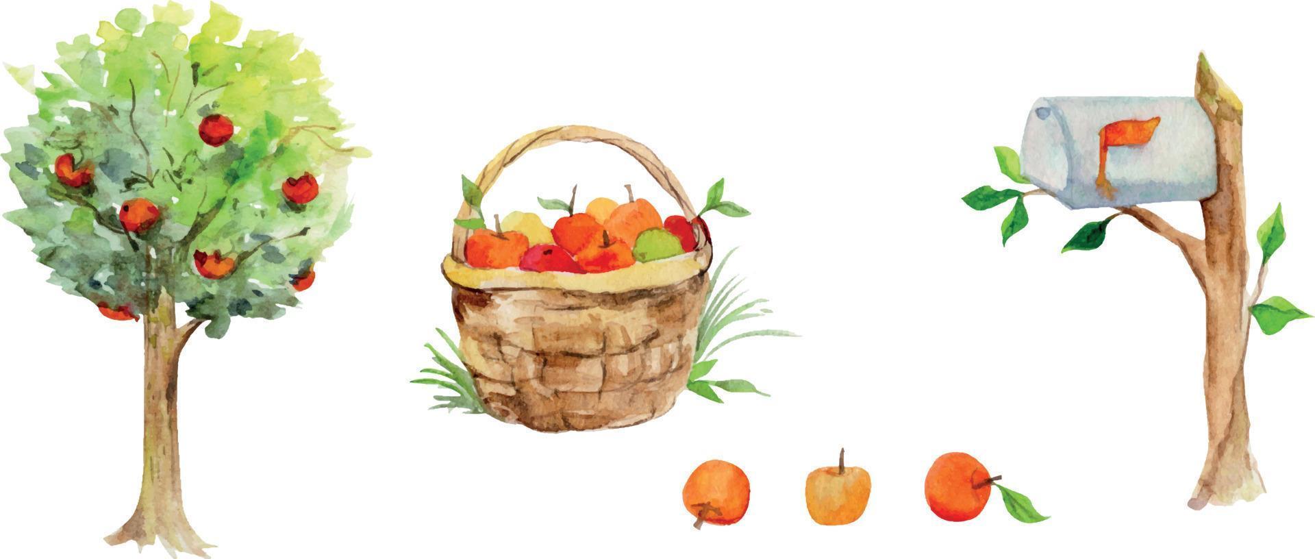 Watercolor hand drawn set of apple tree, basket of apples, postbox, isolated on white background. Design elements for cards, gift bags, invitations, textile, print, wallpaper, for children vector