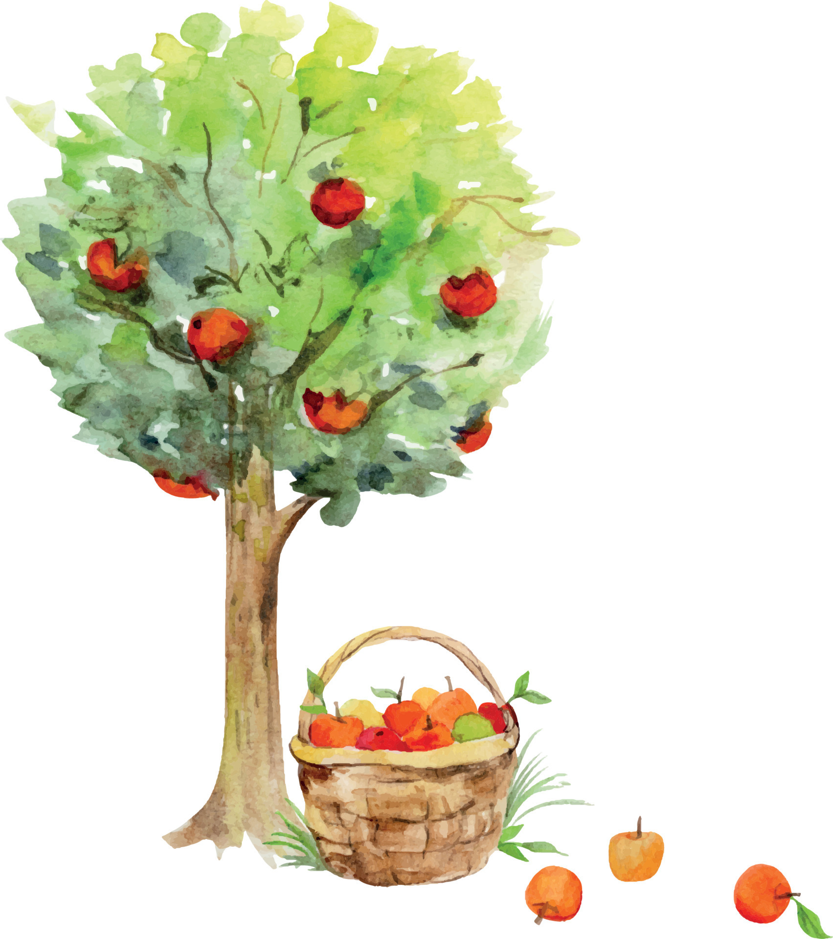 Watercolor hand drawn apple tree in fruit with a basket full of apples