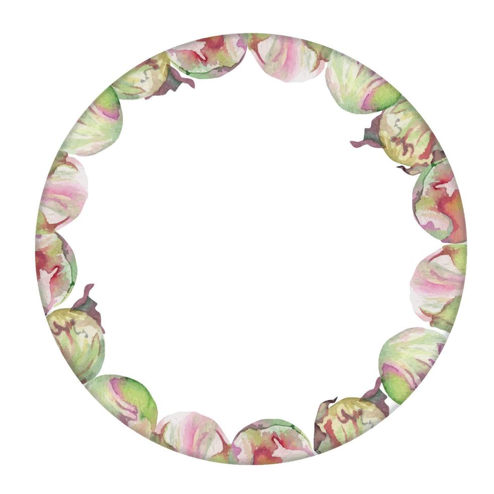Watercolor circle frame arrangement with hand drawn delicate pink peony flowers, buds and leaves. Isolated on white background. For invitations, wedding, love or greeting cards, paper, print, textile vector