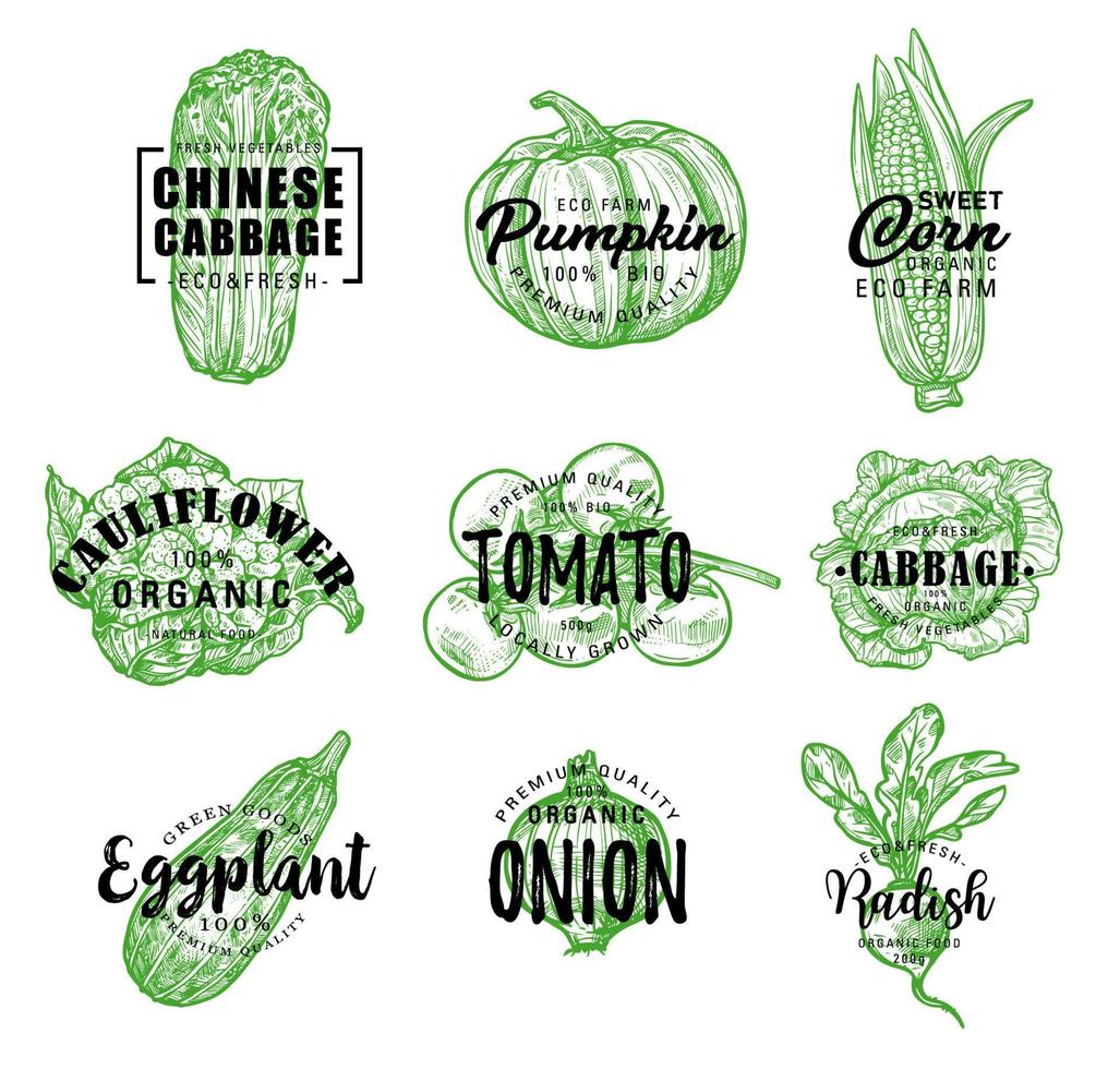 Organic eco farm vegetables vector green lettering