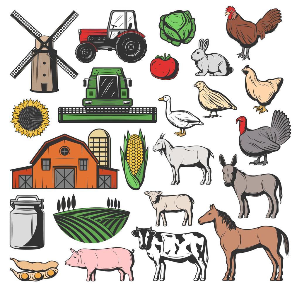 Cattle farm animals and agriculture harvesting vector