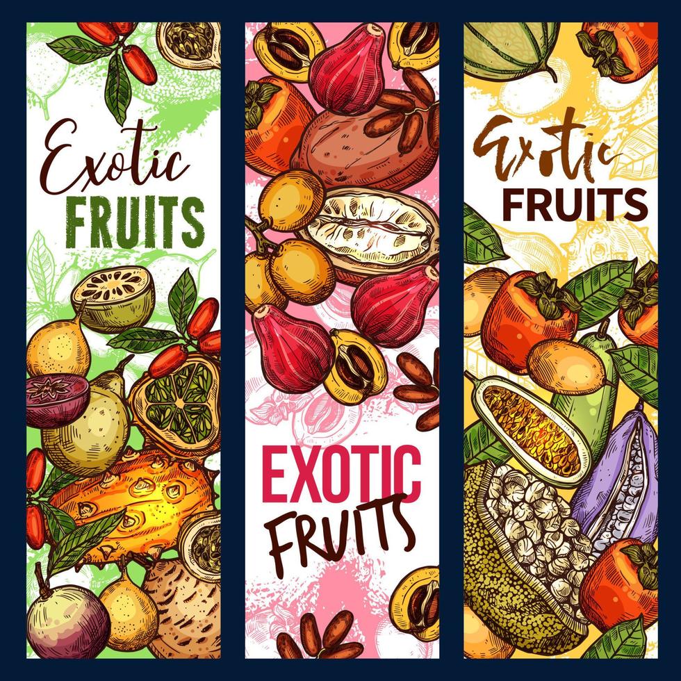 boceto de cosecha orgánica de frutas tropicales exóticas vector