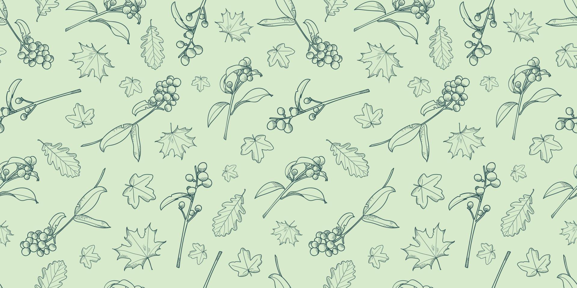 Berries and leaves vector pattern background