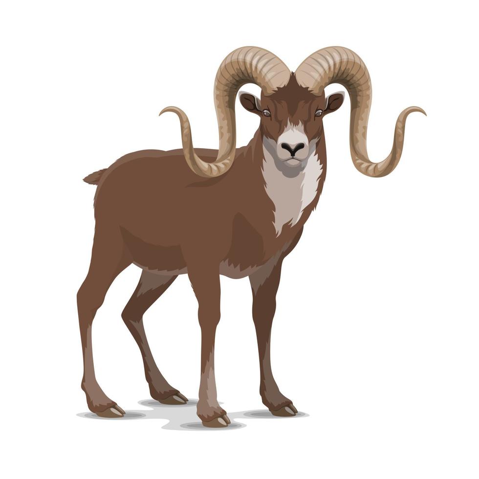 Screw horned markhor goat, vector wild animal