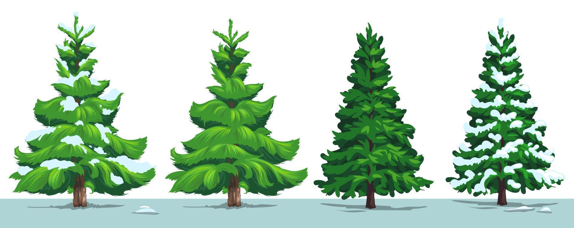 Christmas tree, green fir, pine, spruce with snow vector