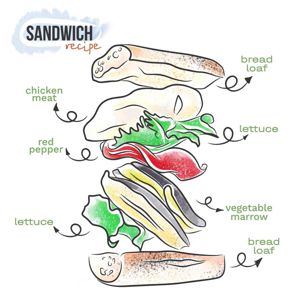 Appetizing delicious sandwich, food illustration, instruction, watercolor, doodle vector