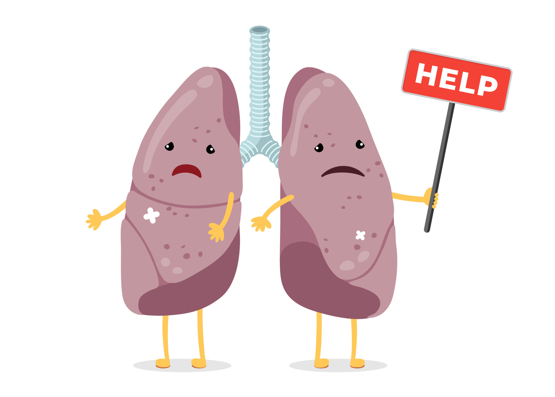 Cartoon sad suffering sick lungs characters. Unhealthy damage human  respiratory system internal organ mascot with help sign. Illness and pain  lung pair concept. Medical anatomy damage vector eps 16136020 Vector Art at