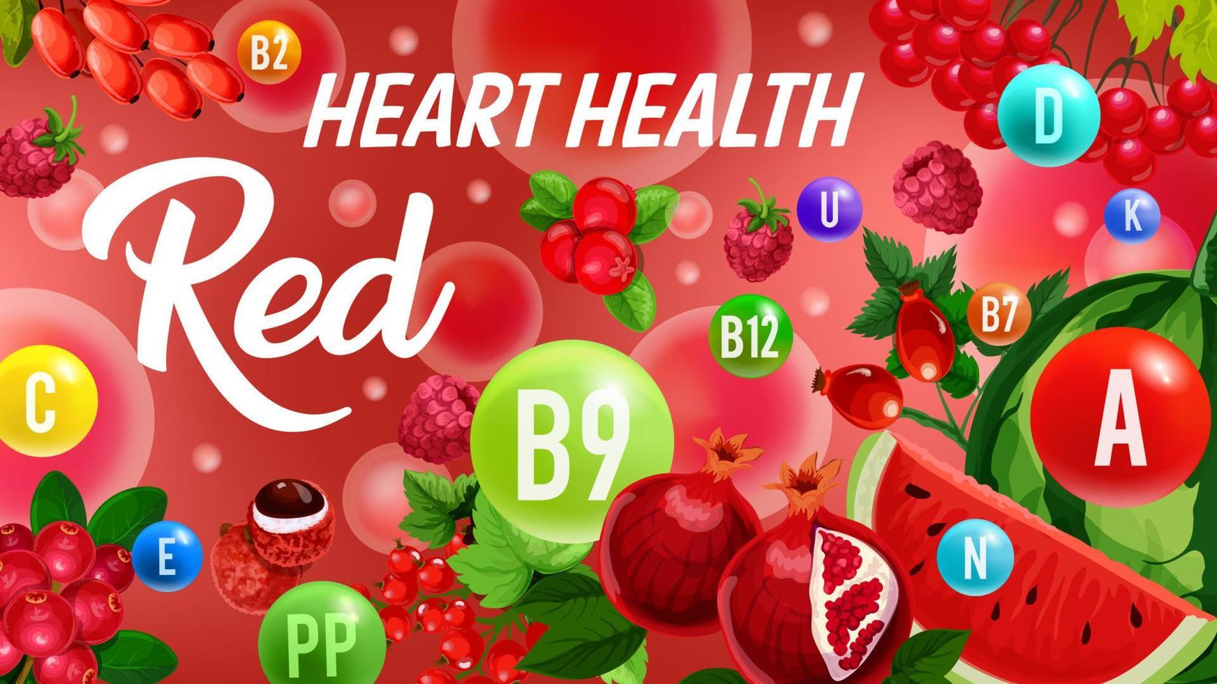 Vitamin from red fruits, color diet heart health vector