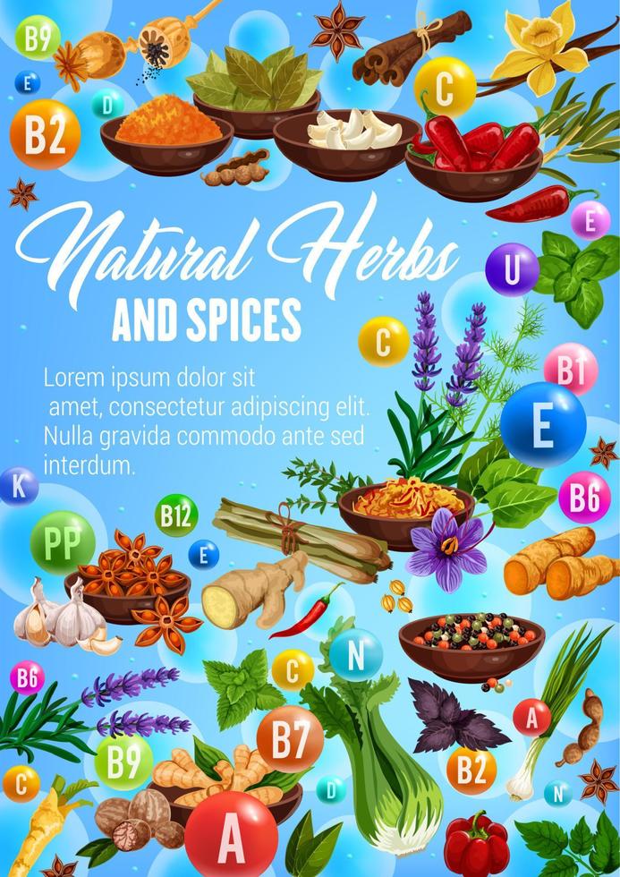 Organic spices, culinary herbs seasonings sketch vector