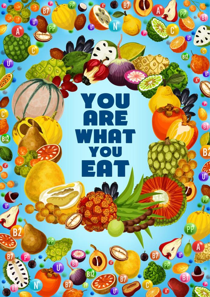 Vitamins in exotic tropical fruits. Healthy food vector