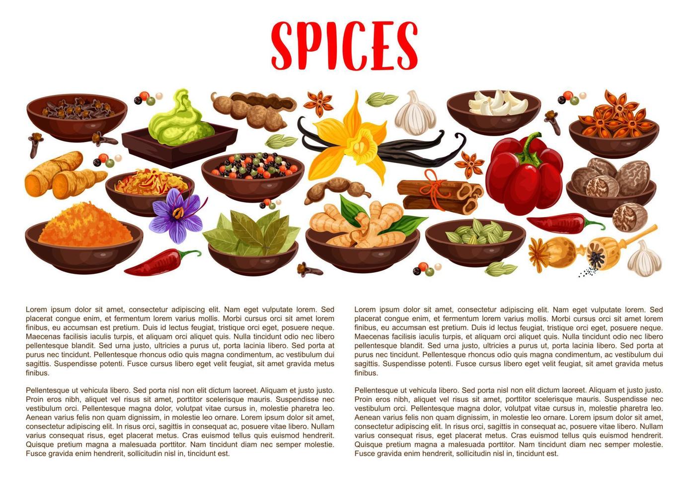 Spices, condiments and food seasoning banner vector