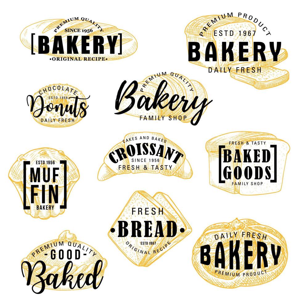 Bakery shop cakes, pastry sketch lettering vector