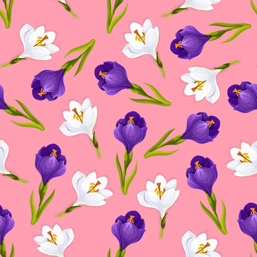 Crocus flowers seamless pattern, vector