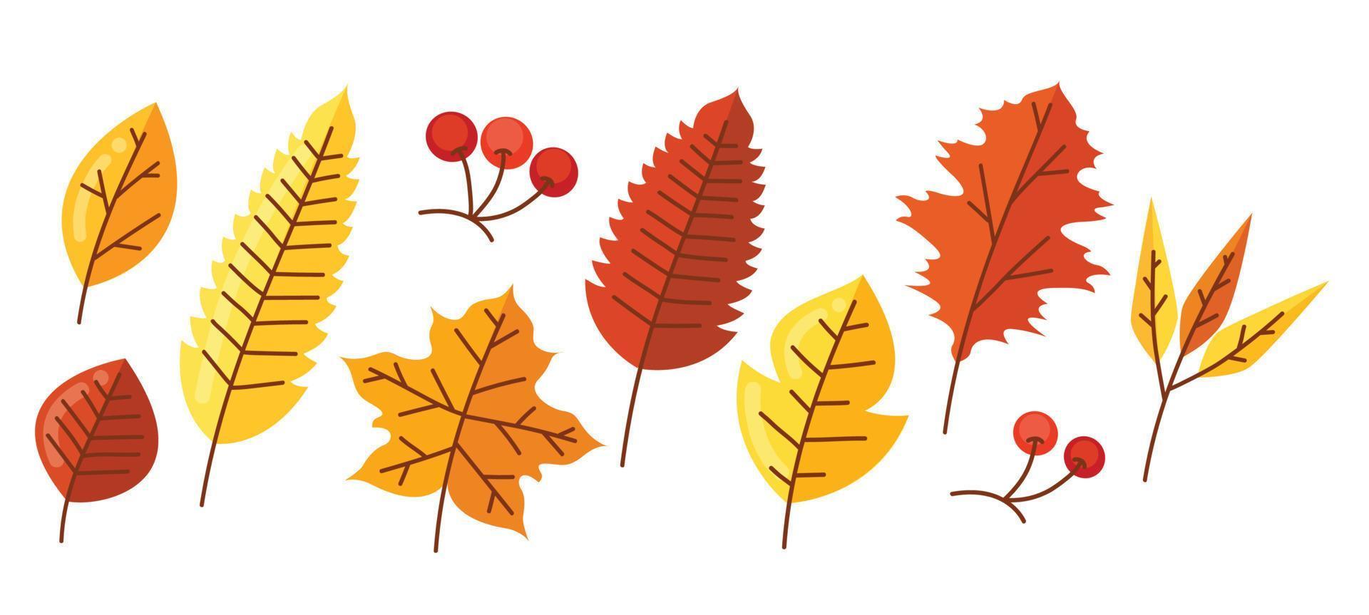 ilustración de vector de elementos de hojas de otoño