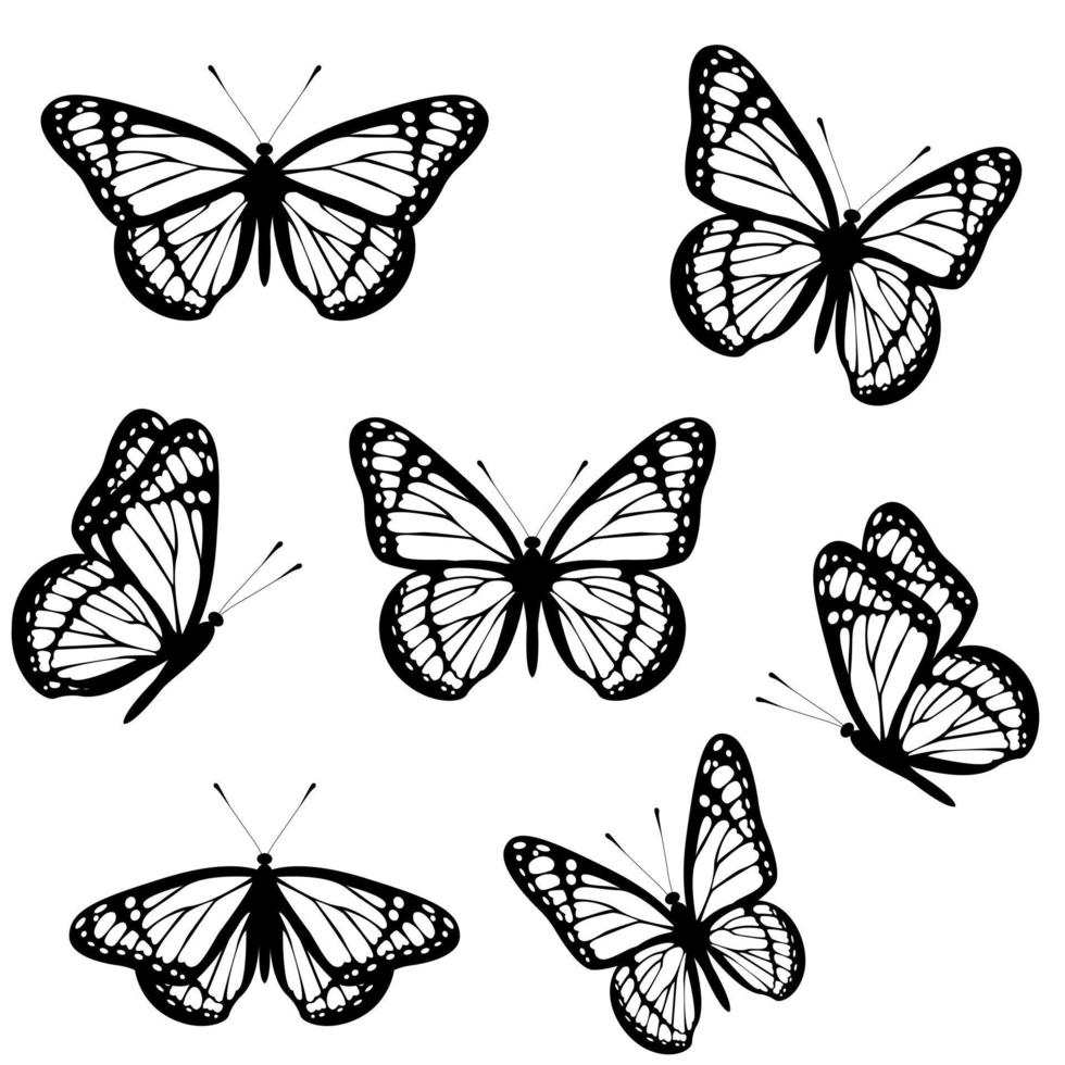 conjunto de mariposas monarca en blanco y negro aisladas sobre fondo blanco. ilustración vectorial vector