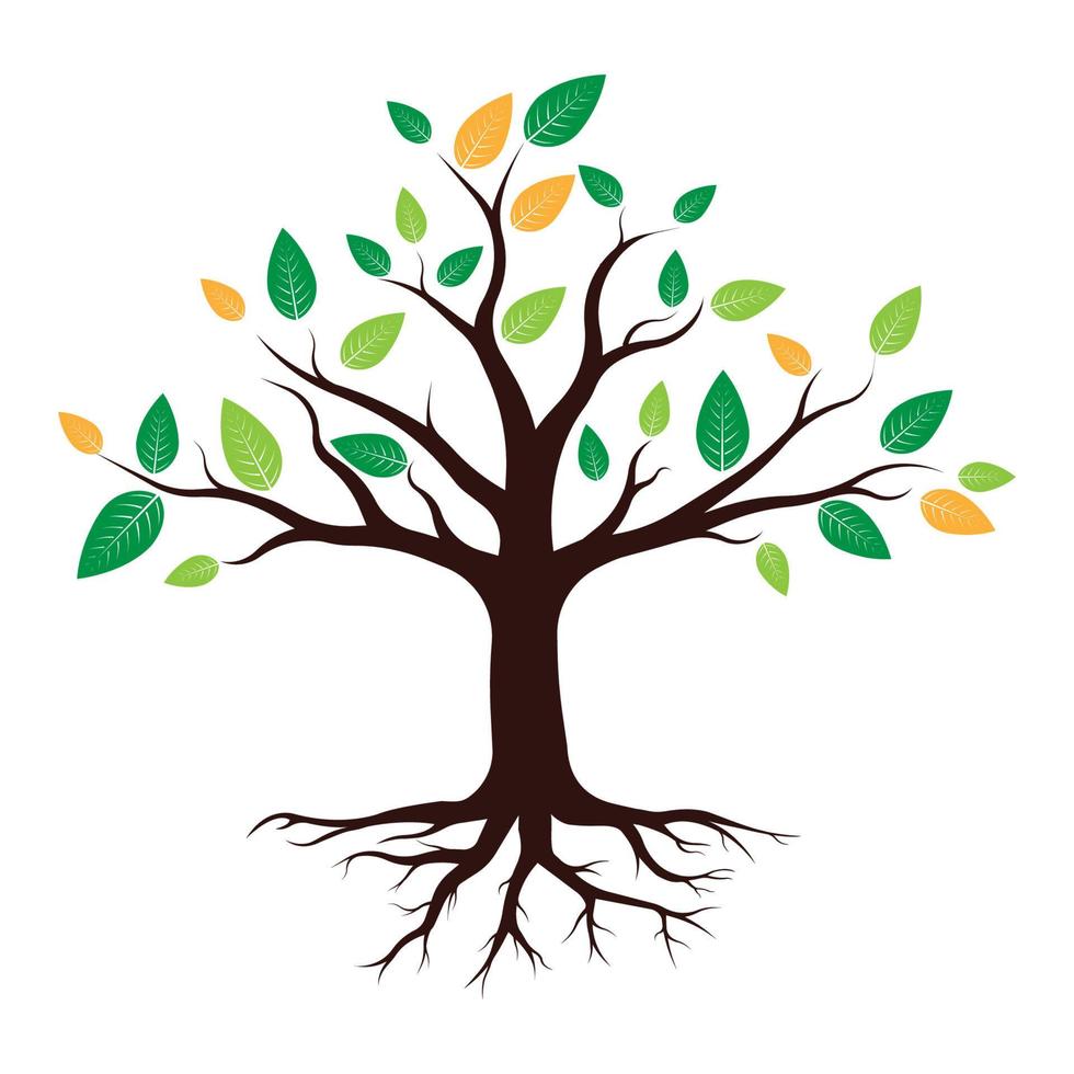 tree logo vector