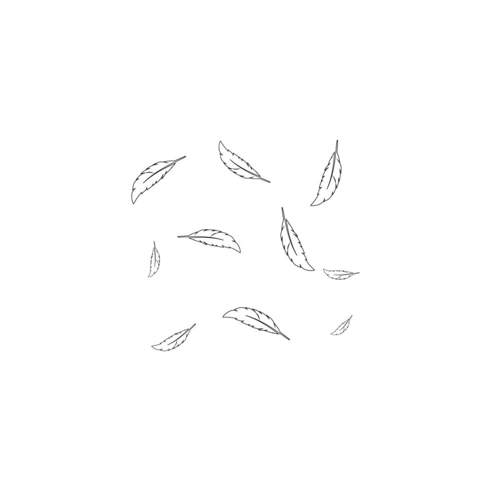 Feather background vektor vector