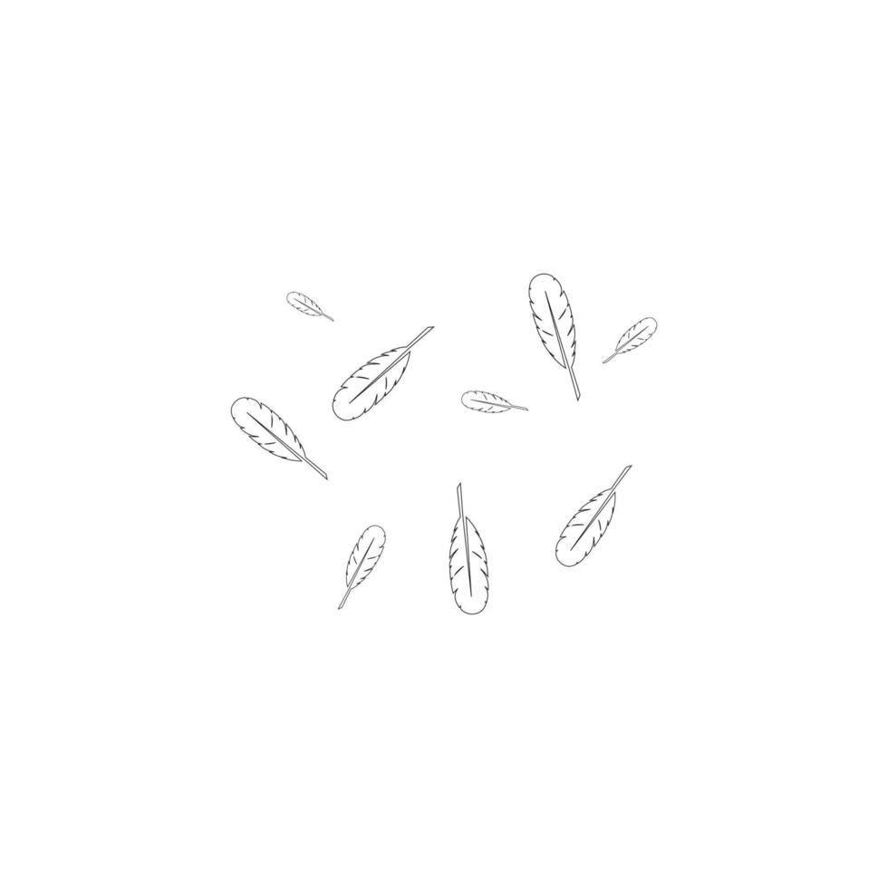 Feather background vektor vector