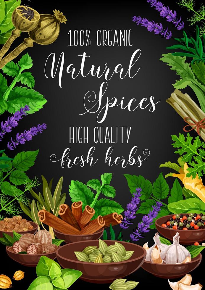 Spices, herbs and seasonings vector