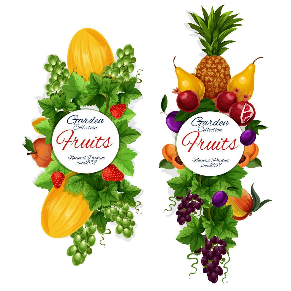 Fruins harvest icons, garden natural vegan food vector