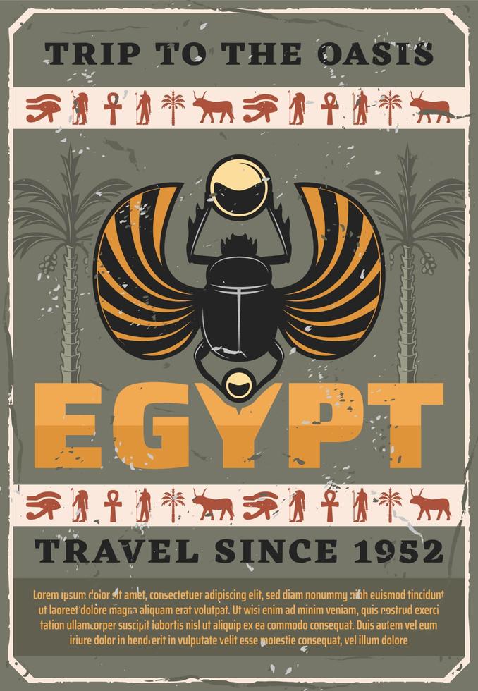 Egypt symbol sacred scarab bug, vector