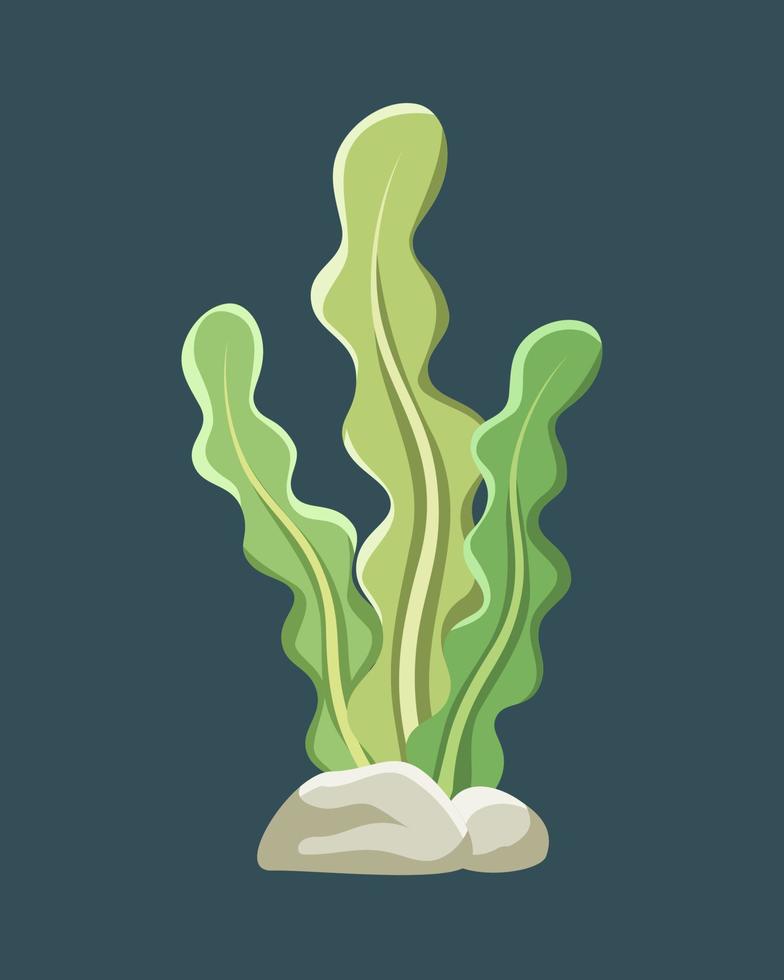 Underwater seaweed vector illustration clipart