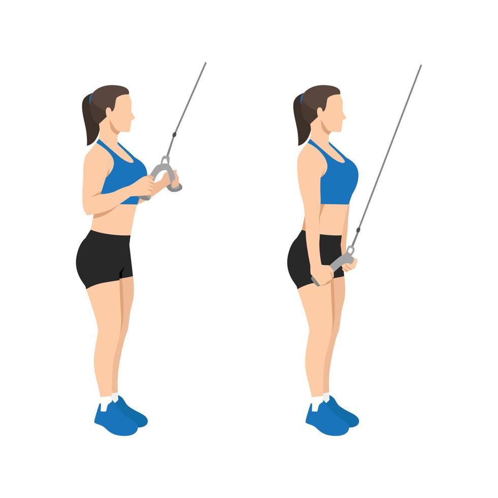 mujer haciendo ejercicio de tríceps de cuerda de cable hacia abajo o de empuje. ilustración vectorial plana aislada sobre fondo blanco vector