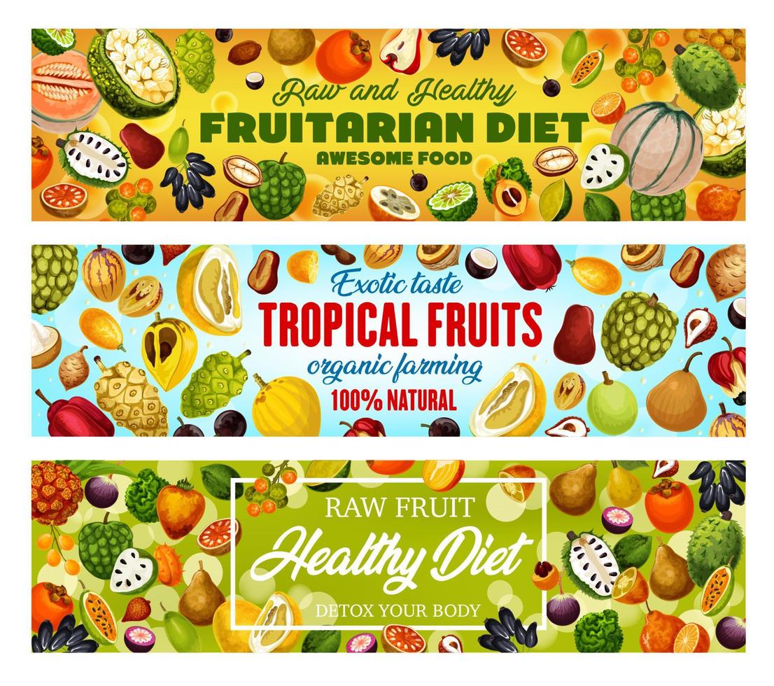 frutas exóticas, cosecha de alimentos frugívoros naturales. vector