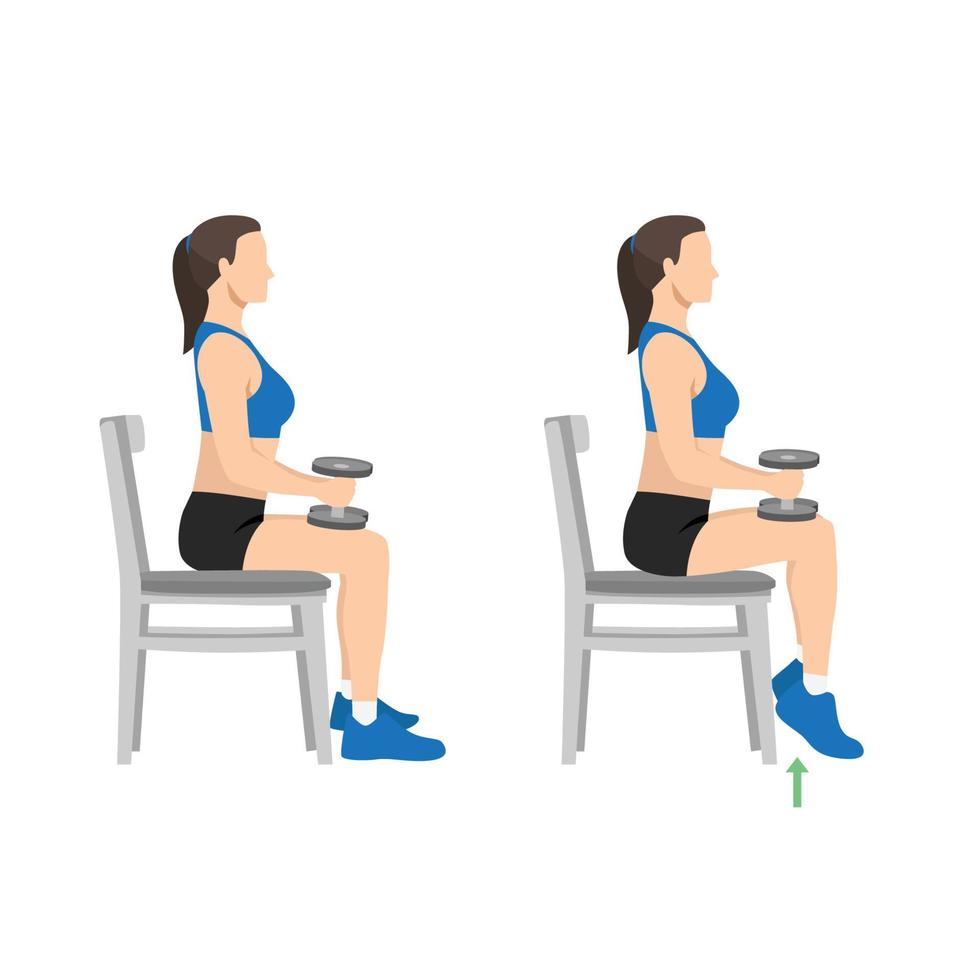 Woman doing seated dumbbell or chair calf raises. Keep both legs at a 90-degree angle. Extend the heels of pushing the toes on the ground and lifting the heels of pushing. Flat vector illustration