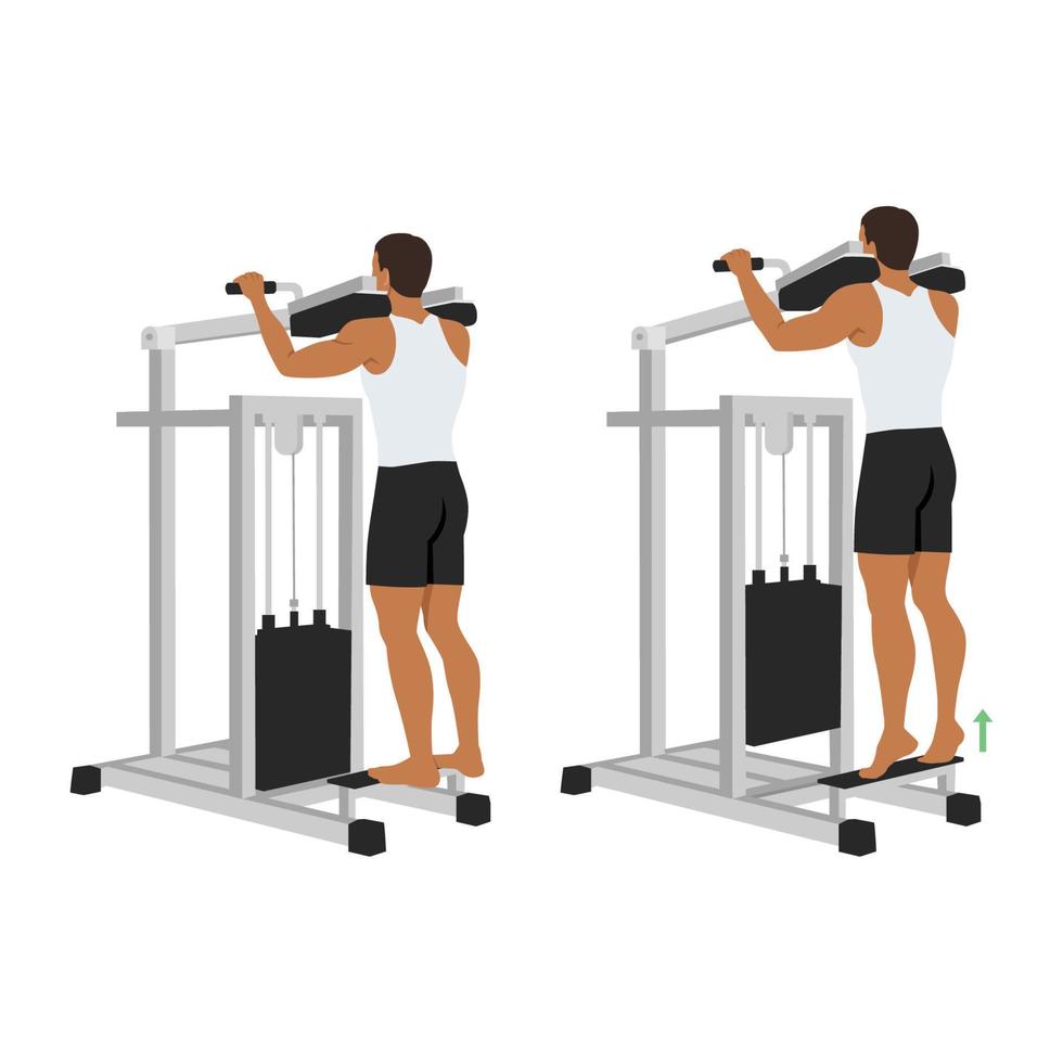 Man doing standing calf raise with assisted machine. Flat vector illustration isolated on white background