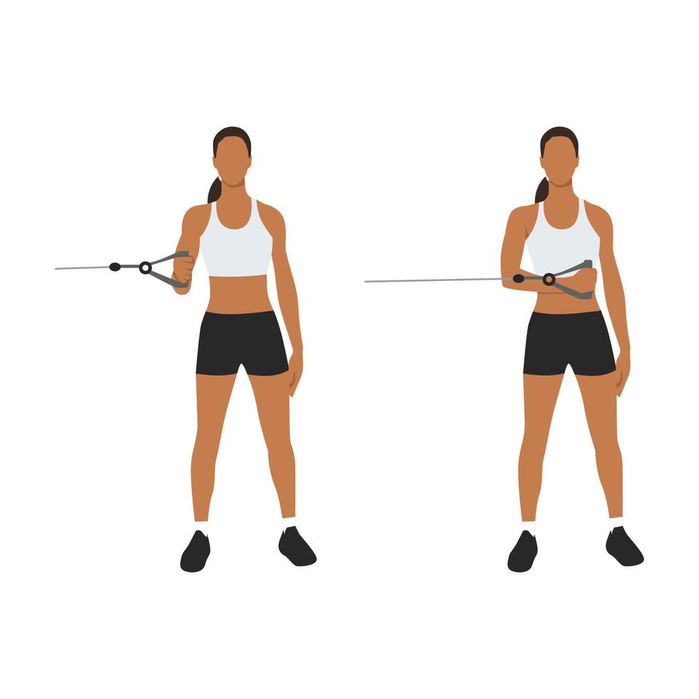 Woman doing External Cable Shoulder Rotation posture for exercise in 2 step. Illustration about workout with gym equipment to maintain a strong and stable shoulder joint. Flat vector illustration