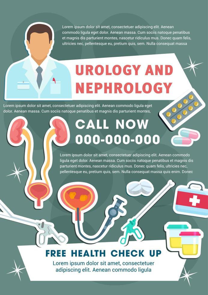 Vector medical poster of urology and nephrology