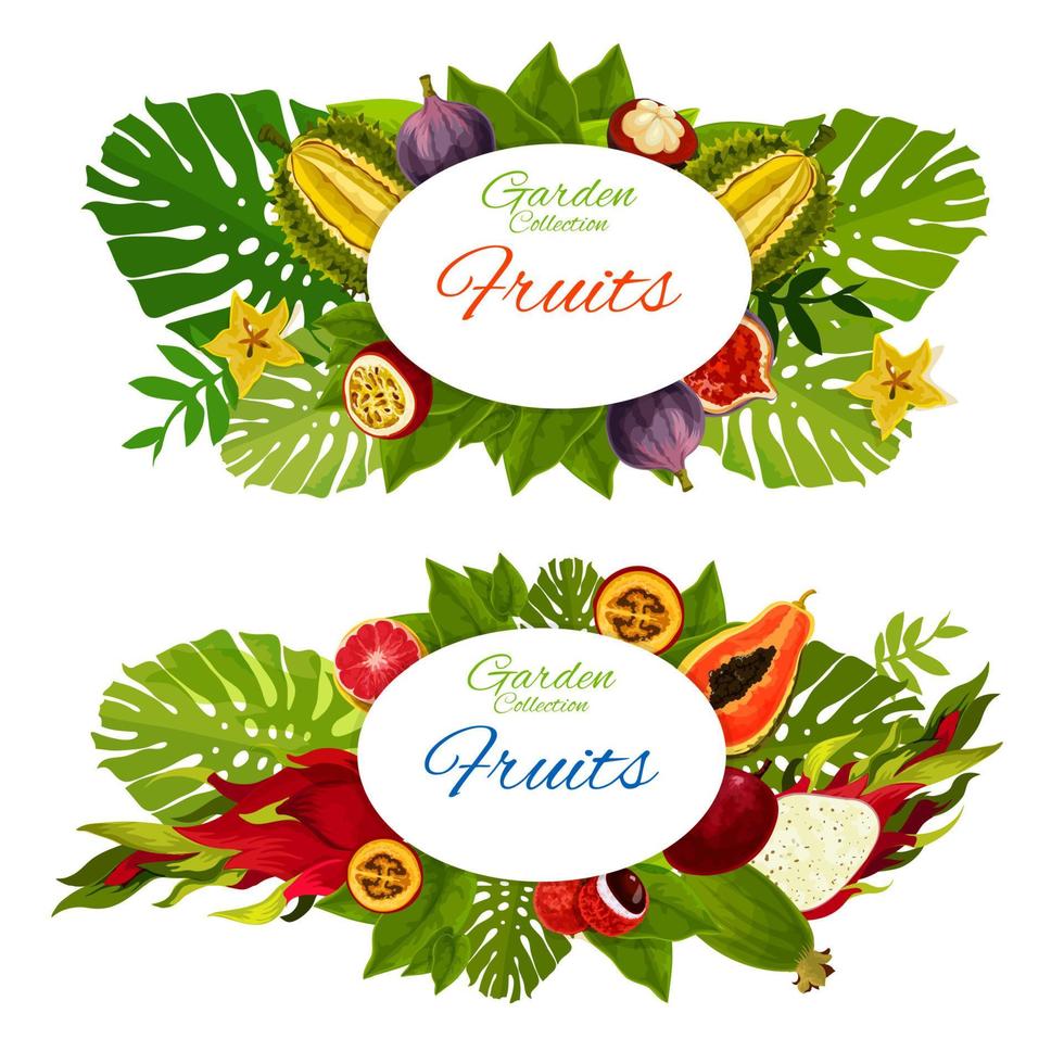 Tropical fruits, exotic food on palm leaves vector