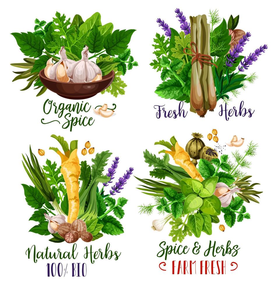 Spices and herbs, food condiments and seasonings 16138863 Vector Art at