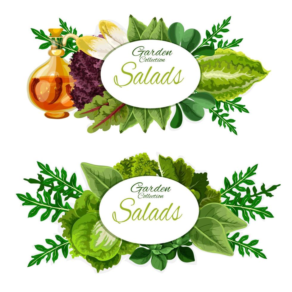 Lettuce salad and spinach leaves. Vegetable food vector