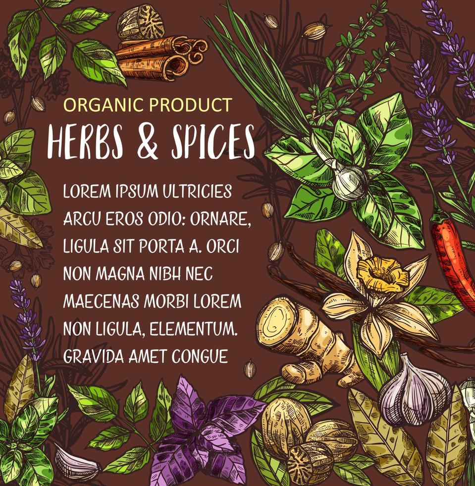 herb and spice seasoning poster vector