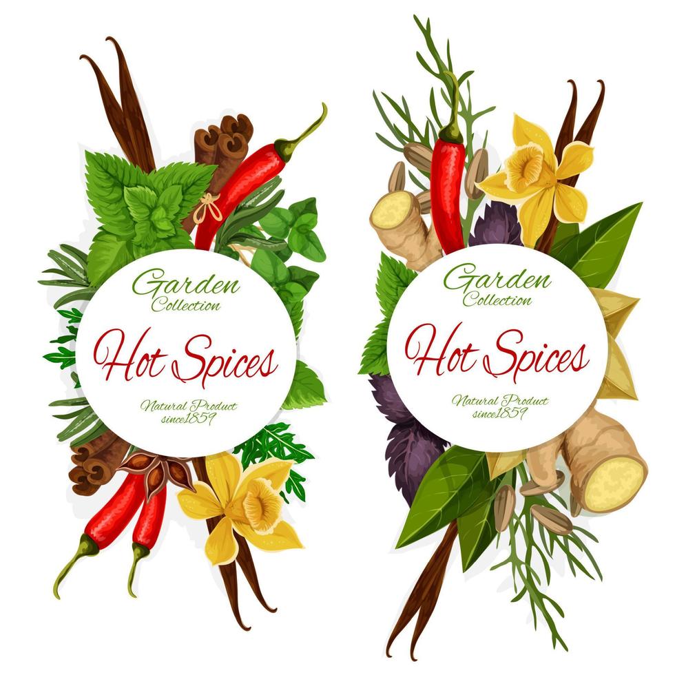 Seasonings spices and herbs vector