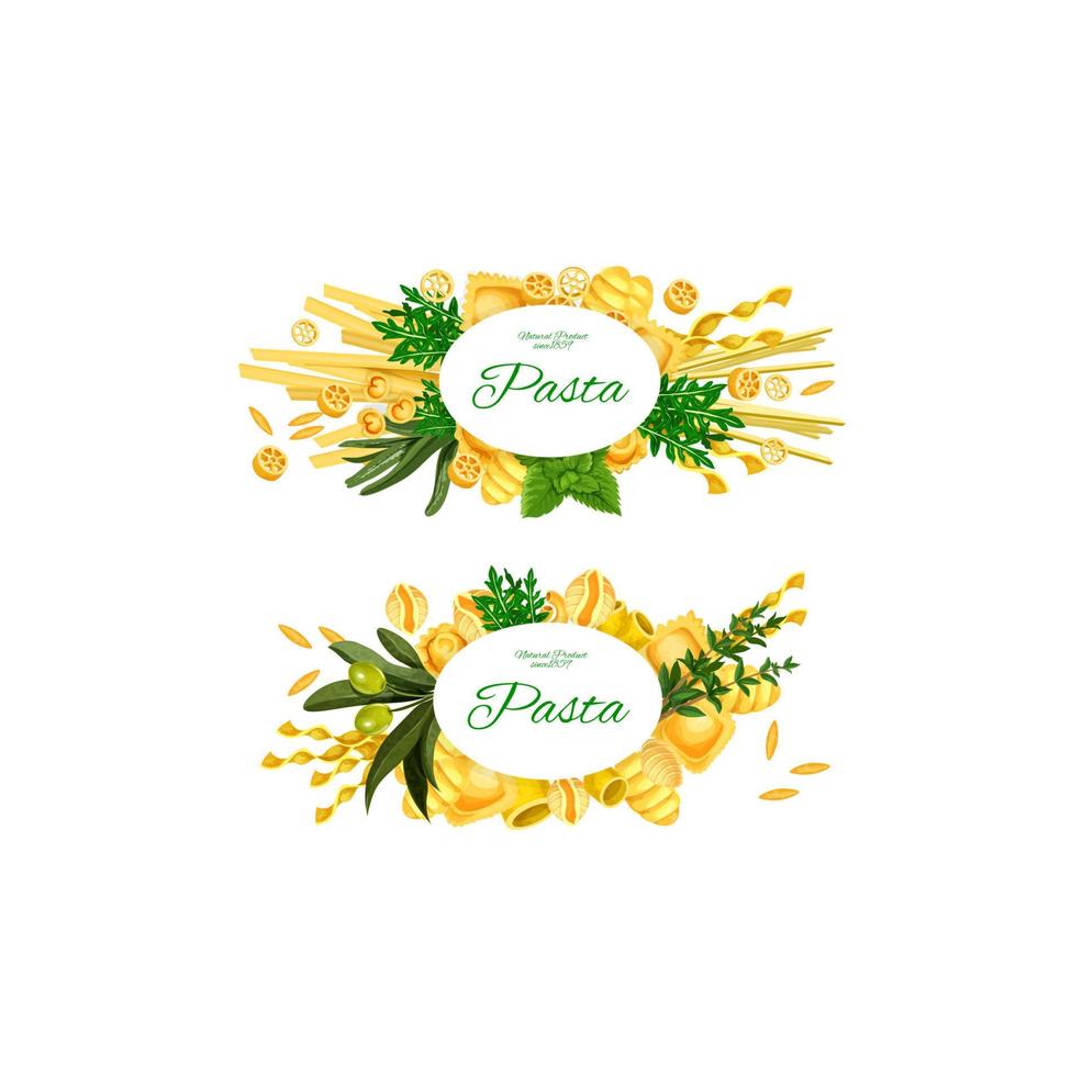 Italian pasta and cooking herbs, vector
