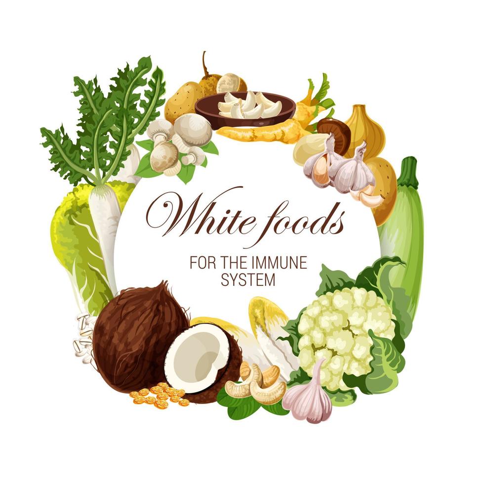 Color diet, white food nutrition veggies and nuts vector