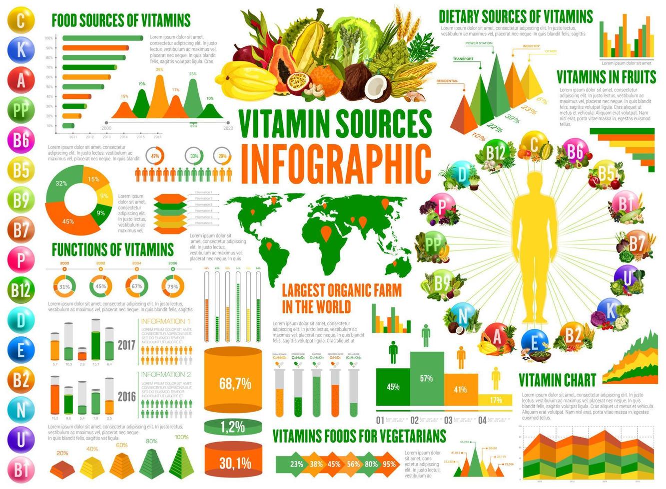 Vitamins sources and nutrition infographics vector