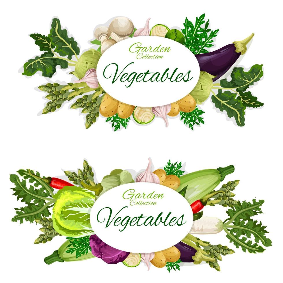 Vegetables harvest and garden groceries, vector