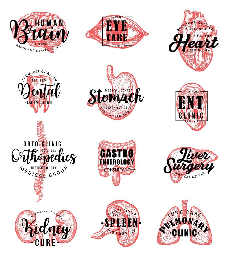 Human organs and bones sketch and lettering vector